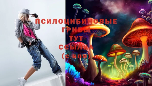 гидропоника Арсеньев