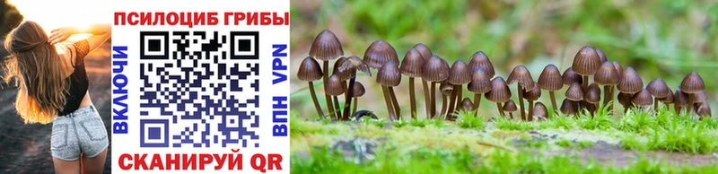 Псилоцибиновые грибы Cubensis Павловск